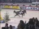 Horse Riders
