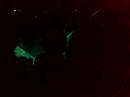 Qlimax 2007 3