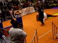 videos de Randal al IV Saló pel Benestar,Defensa de l'animal abandonat