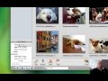 IphotoTitleTutorial