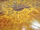 Selecting Colors for Concrete Flooring Selecting Colors for Concrete Flooring