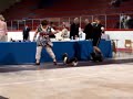 Wuhan's Winter Soslstice Willy day 2 of Dartmouth Kennel Dog