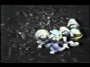 YPMB Wars YPMB Wars