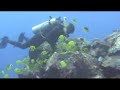 Kona diving, Part 1