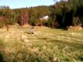 videos de Gilera RCR racing a Suzuki 125 ccm