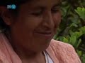 Coca - Die heilige Pflanze der Inka Part 1/5 *Dokumentation*