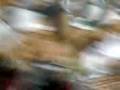 videos de eu vo fla pra tdo mundo