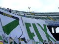 elche-hercules