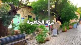 نكبة قرية الجاعونة قضاء صفد في فلسطين