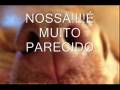 HOMENAGEM A QUERIDA NARIGUDA.wmv