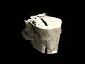new species of hominid, Australopithecus sediba