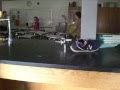 Stop Motion Randomness Week 3