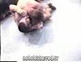 Elvis Sinosic vs Chris Haseman