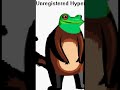 weird animals