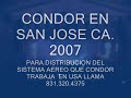 sonido condor en sanjose ca