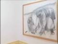 Centro de Arte Contemporanea Graça Morais
