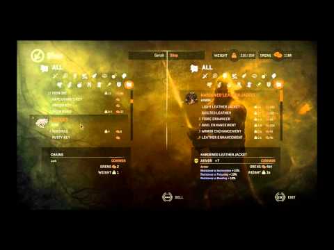 The Witcher 2 : Assassins of Kings