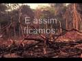 queimadas e suas consequências.wmv