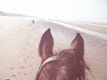 video-galop.html