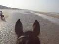 video galop