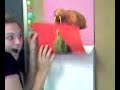 Brittany Crile Cracks Me UP! Brittany Crile Cracks Me UP!