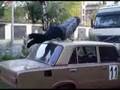 Тренировка сбивание