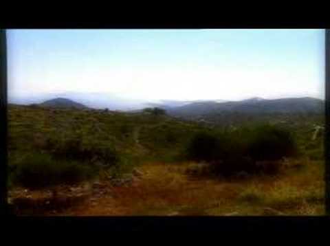 Hvar Vacations