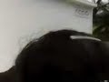 ITVER chica nuevo ingreso agos-dic 06