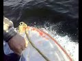саныяхтат