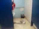 idk fooling around at school :]