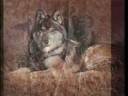 horse & wolves~ Touniquet horse & wolves~ Touniquet