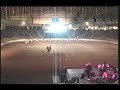 Starfire Farm at NWSS 2003