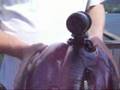 Oregon ATC 2000 Action Video Camera for Sports