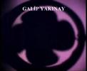 director - author   GAL?P YAKINAY DEMO 2007