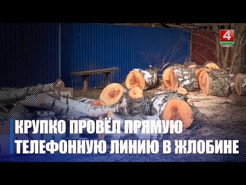 Дороги, аварийные деревья и общественный транспорт. Крупко провел прямую телефонную линию в Жлобине видео