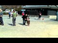 ����-���ܾ�:YouTube������=0��
