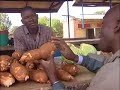 FARM-Africa Cassava project