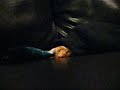 Sleeve Kombat