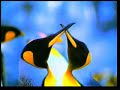 altruism-in-nature-english-02.html