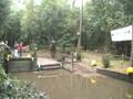videos de Lian Vermunt met Pias