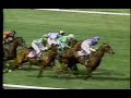1992 Breeders Cup Steeplechase Highland Bud 1992 Breeders Cup Steeplechase Highland Bud