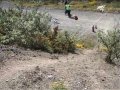 Irish Mountain Bike Cross Country NPS, Round 3. Part 1