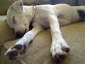 videos de Video 7