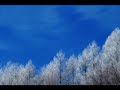 Vivaldi four seasons winter- my fav!(audio)
