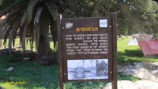 وادي القباني وعين الجواميس🐂 העוגן🐃 وادي القباني وعين الجواميس🐂 העוגן🐃