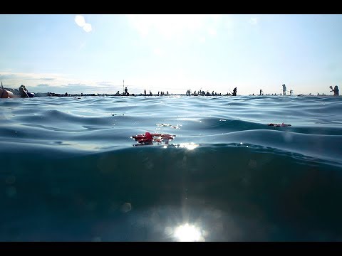 2017 Hervey Bay Ocean Festival - A Wrap Up