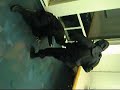 2 Ninjas With Revenge