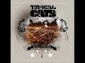 Typical Cats - Easy Cause It Is Typical Cats - Easy Cause It Is