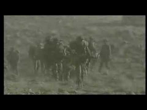 the warroirs