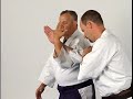 Aikido Basics: Wrist Lock Twist : Aikido Sankyo Overhead Strike Defense